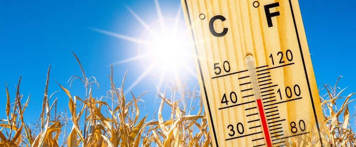 Klimawandelanpassung in Betrieben © Wolfilser-AdobeStock Klimawandelanpassung in Betrieben