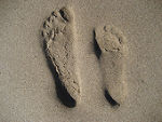 Footprint © Kredo