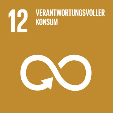 SDG 12 SDG 12