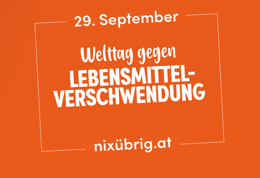 zur Website zur Website