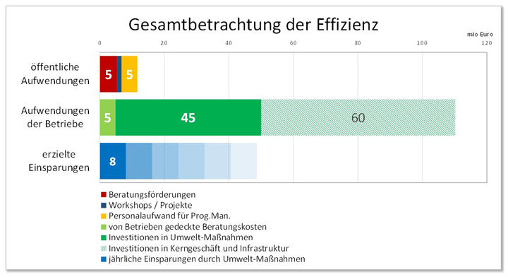 Wirtschaftliche Effizienz der Wirtschaftsinitiative Nachhaltige Steiermark der letzten 20 Jahre